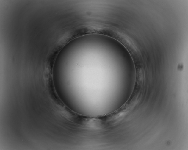 X0000103320463200809051151