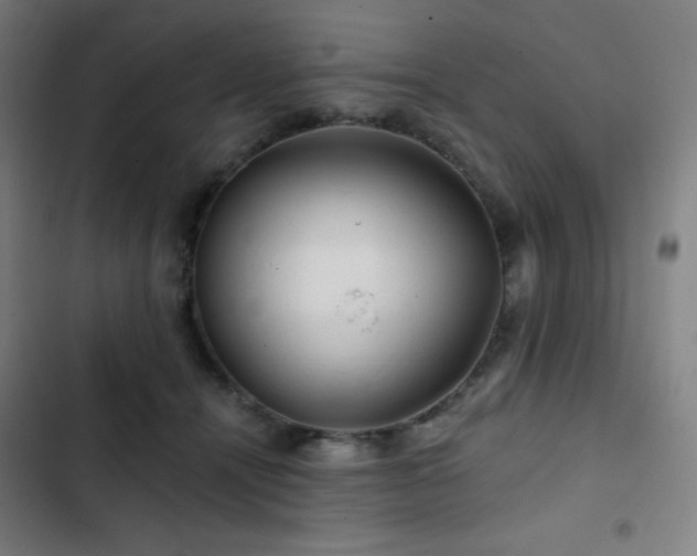 X0000103320464200809051151