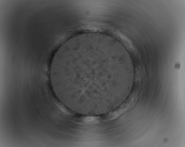 X0000103320465200809051151