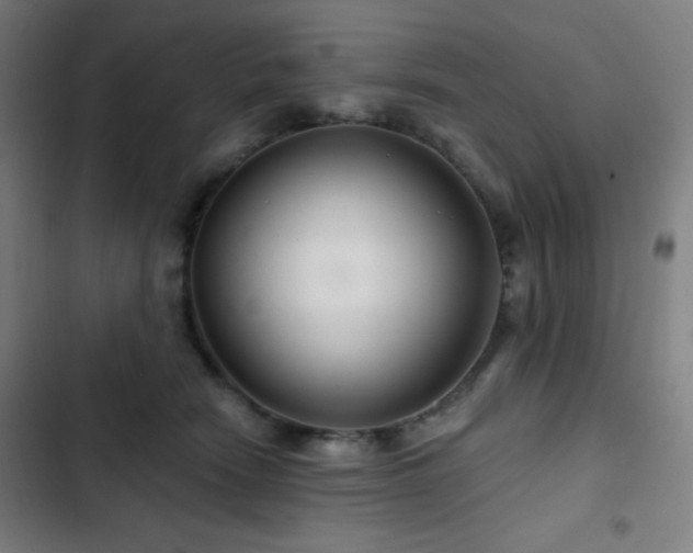 X0000103320466200809051151