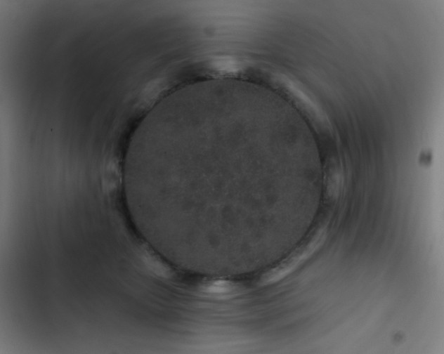 X0000103320467200809051151