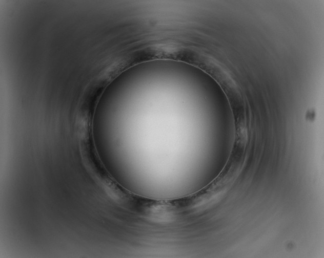 X0000103320468200809051151