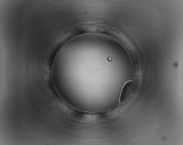 X0000103320469200809051151