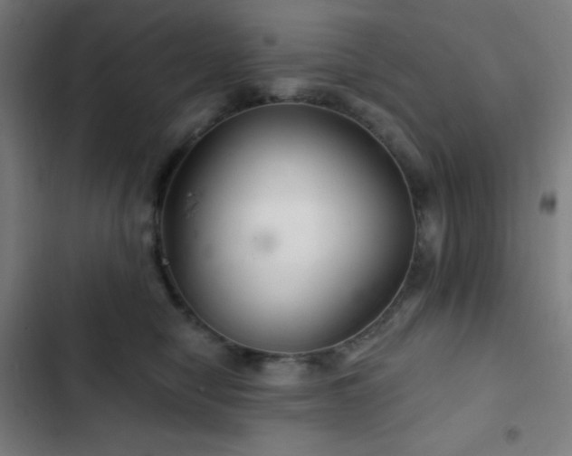 X0000103320470200809051151