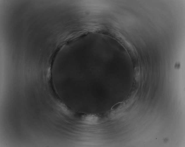 X0000103320471200809051151