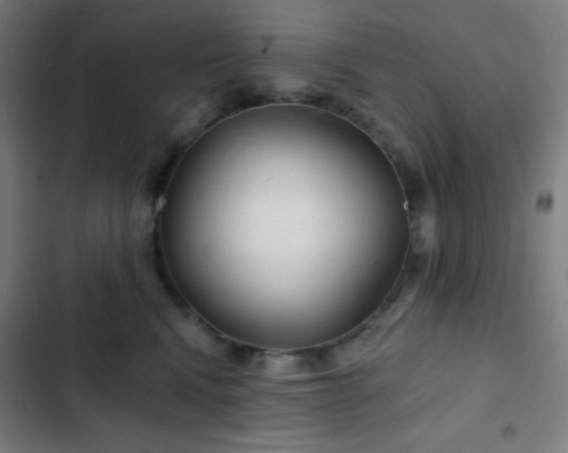 X0000103320472200809051151