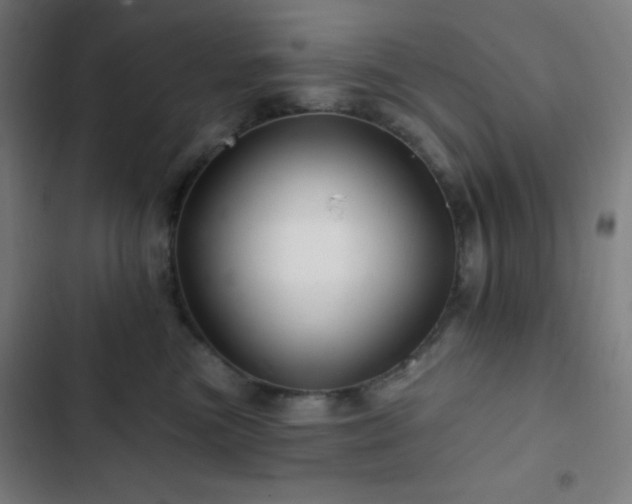 X0000103320473200809051151