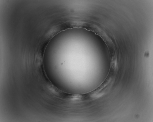 X0000103320474200809051151