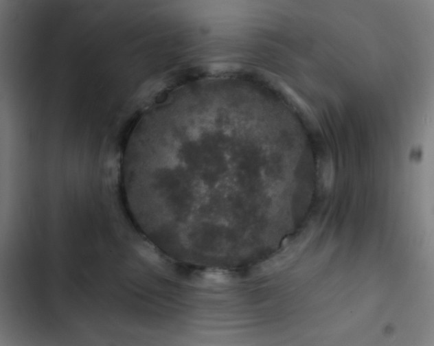 X0000103320475200809051151