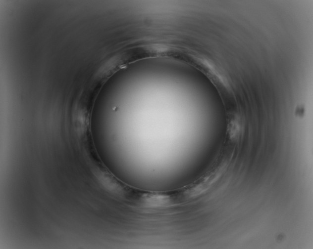 X0000103320476200809051151