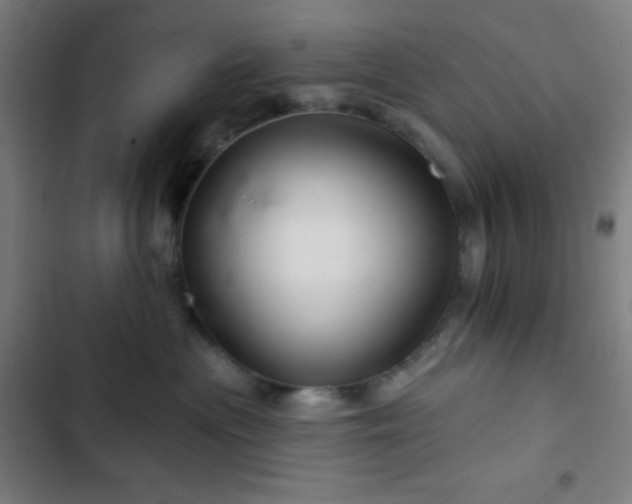 X0000103320477200809051151