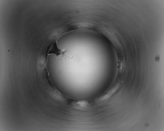 X0000103320478200809051151