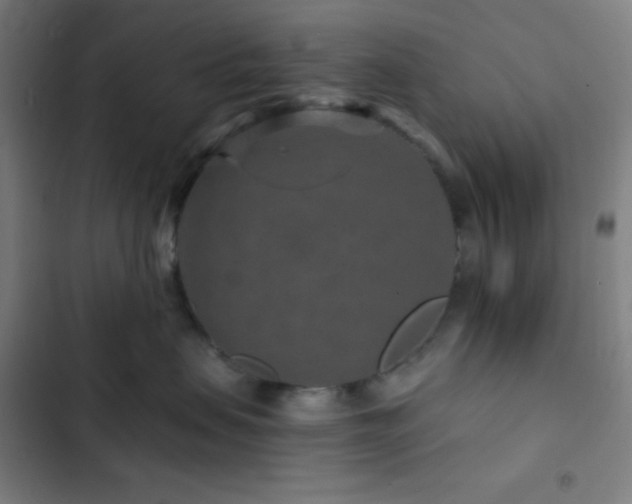 X0000103320479200809051151