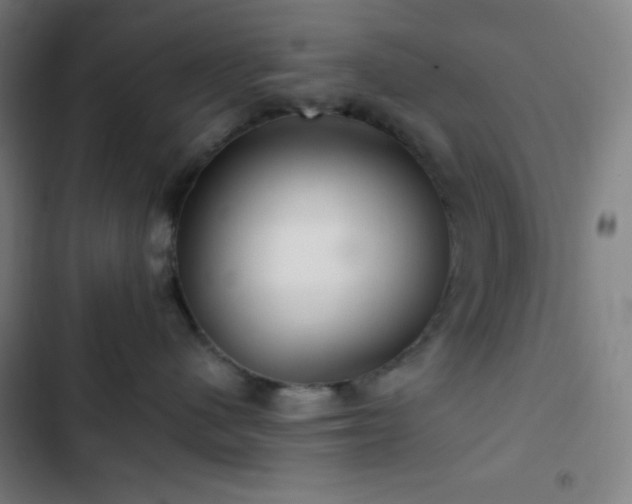 X0000103320480200809051151