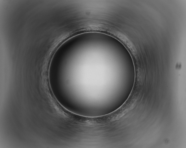 X0000103320481200809051151