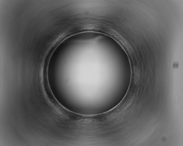 X0000103320482200809051150