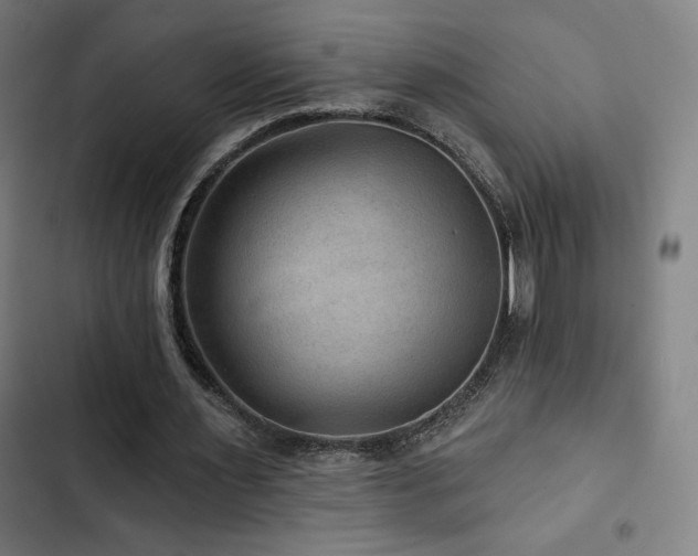 X0000103320483200809051150