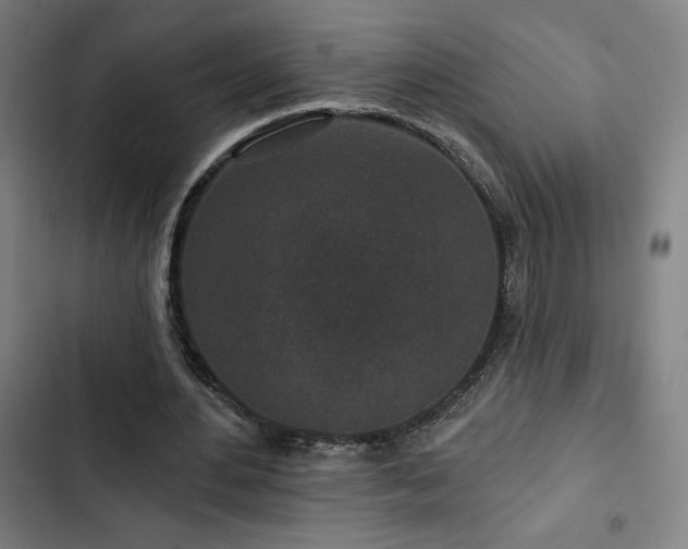 X0000103320484200809051150