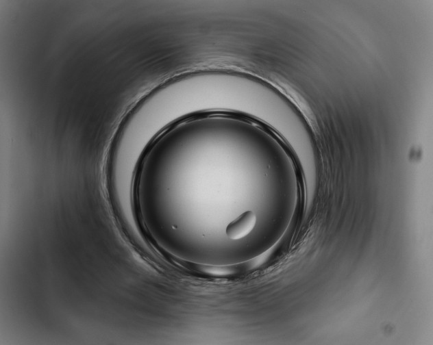 X0000103320485200809051150