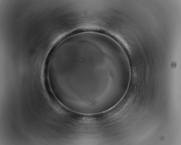 X0000103320487200809051150