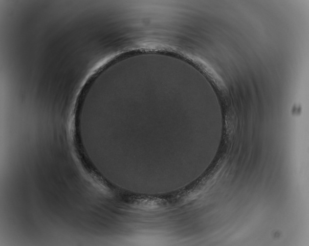 X0000103320488200809051150