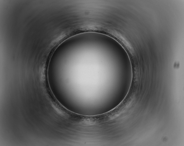 X0000103320489200809051150