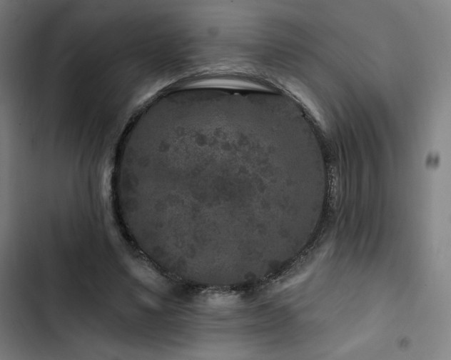 X0000103320491200809051150