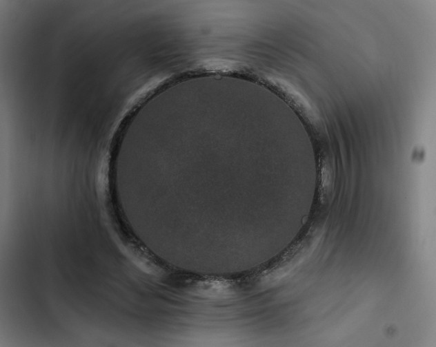 X0000103320492200809051150