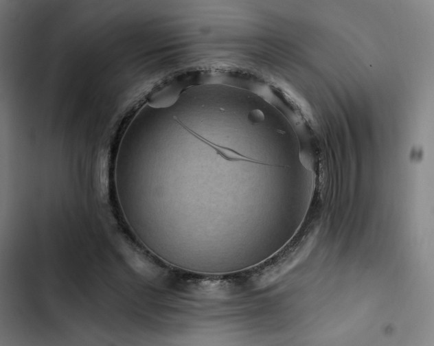 X0000103320493200809051150