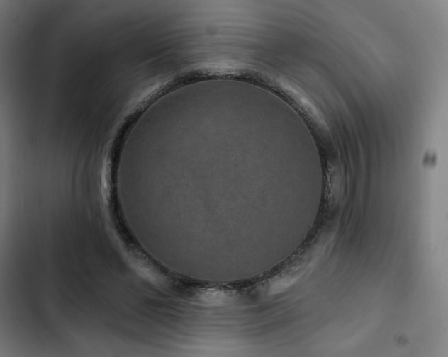 X0000103320494200809051150