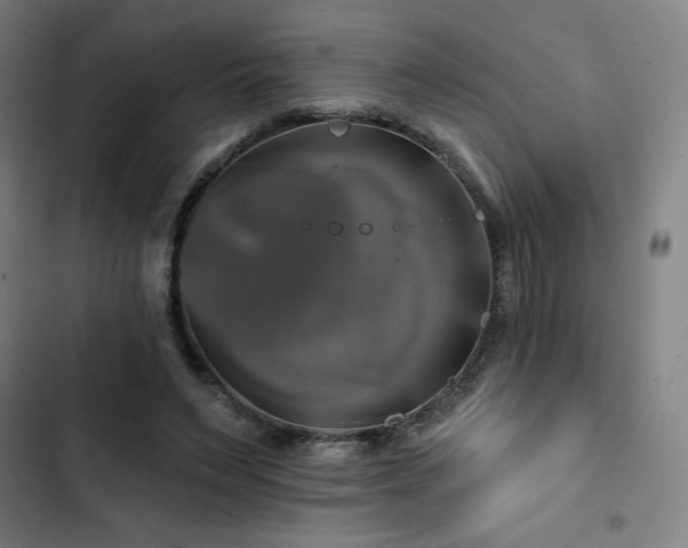 X0000103320495200809051150