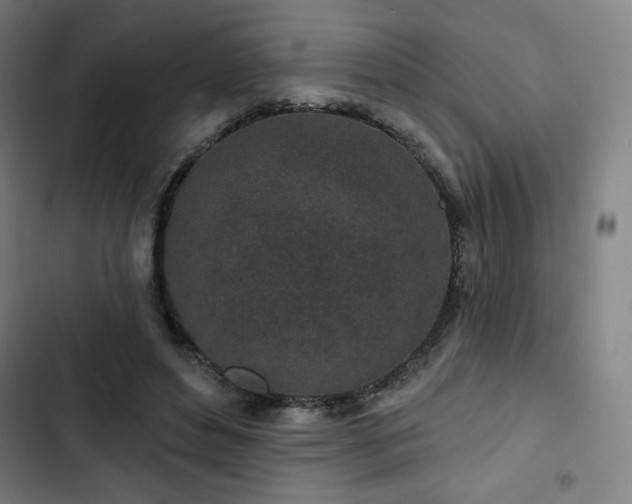 X0000103320496200809051150