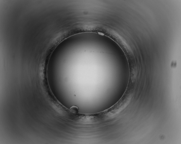 X0000103320497200809051150