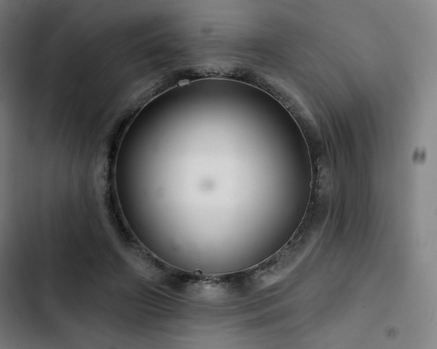 X0000103320498200809051150