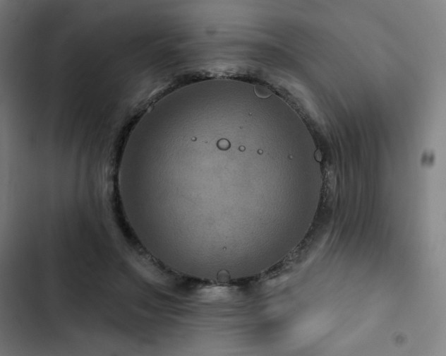 X0000103320499200809051150