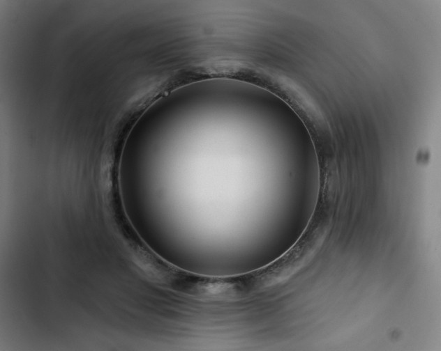 X0000103320501200809051150