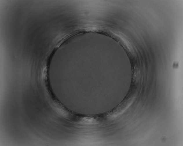 X0000103320502200809051150