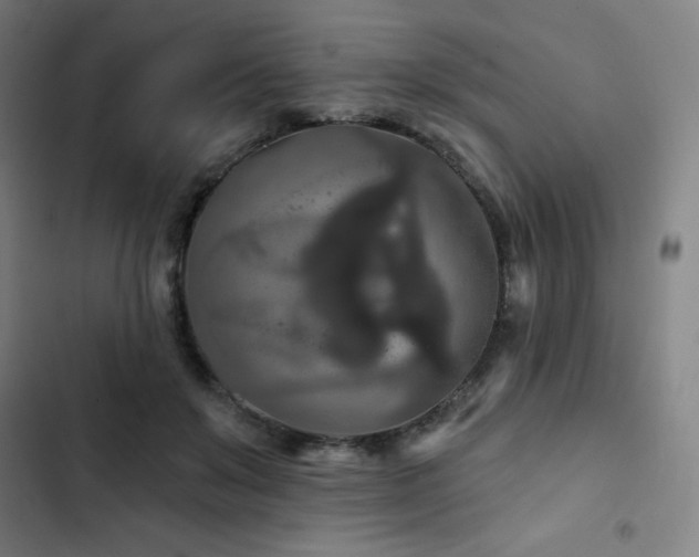 X0000103320503200809051150