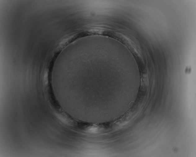 X0000103320504200809051150