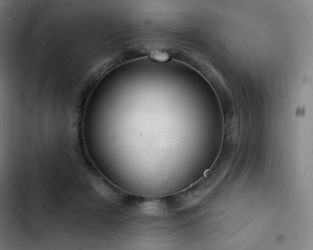 X0000103320505200809051150