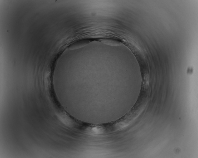 X0000103320506200809051150