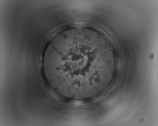 X0000103320507200809051150