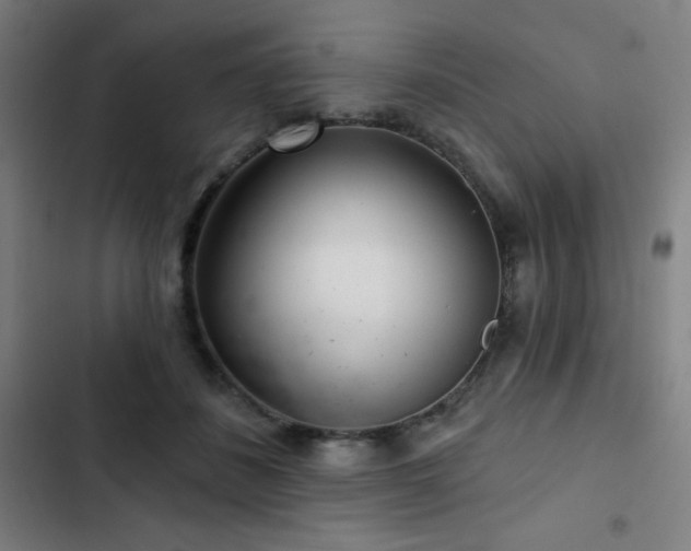 X0000103320508200809051150