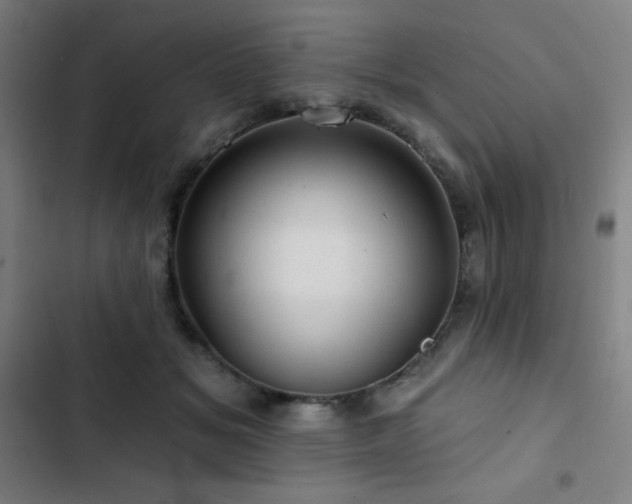 X0000103320509200809051150