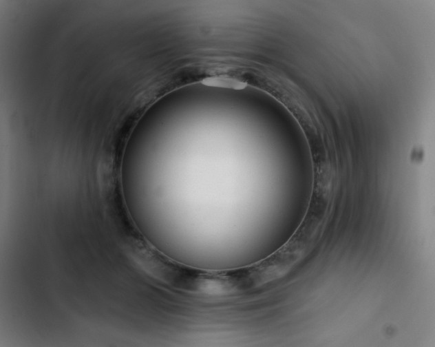 X0000103320510200809051150