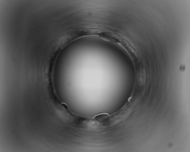 X0000103320512200809051150