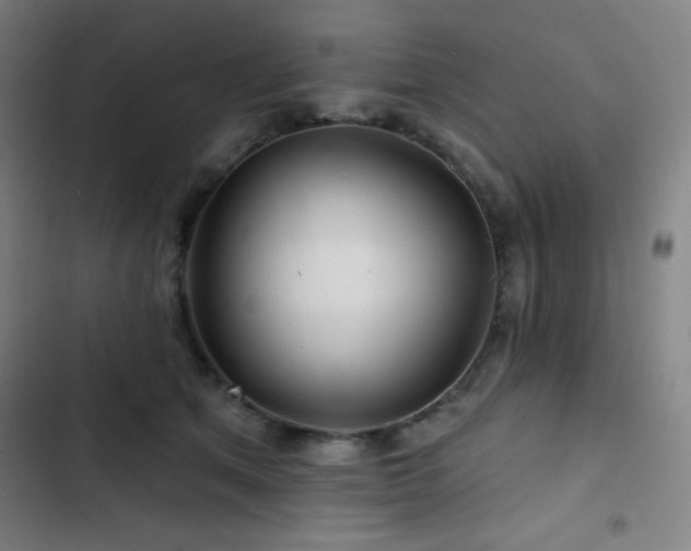 X0000103320513200809051150