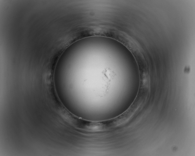 X0000103320514200809051150