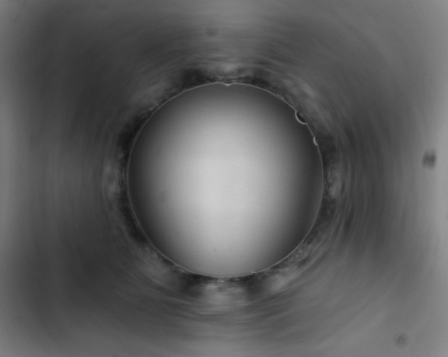 X0000103320515200809051150