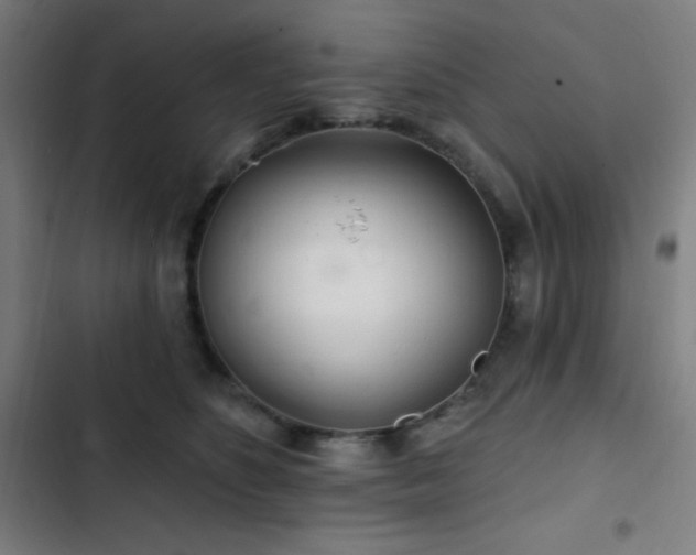 X0000103320516200809051150